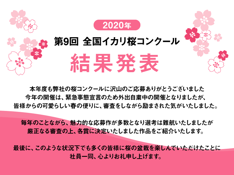 桜コンクール結果発表ページ 防虫 防そ 防菌 省エネ 清掃洗浄のイカリ消毒株式会社