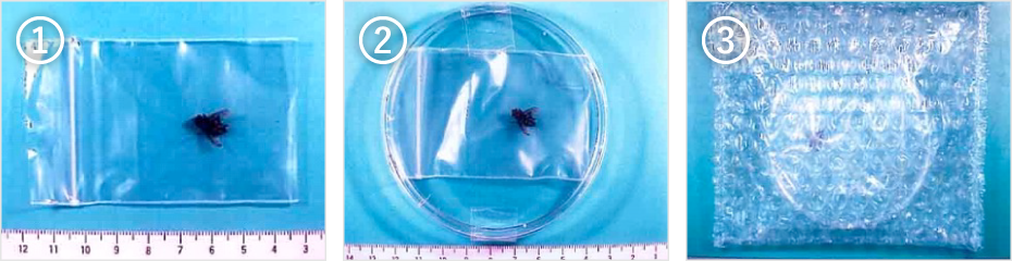 (⼀例)理想的な梱包⽅法