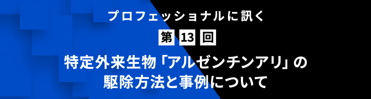 プロフェッショナルに訊く 第13回 特定外来⽣物「アルゼンチンアリ」の駆除⽅法と事例について