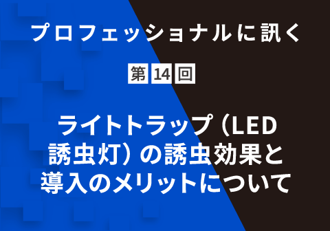 プロフェッショナルに訊く 第14回 ライトトラップ（LED誘⾍灯）の誘⾍効果と導⼊のメリットについて