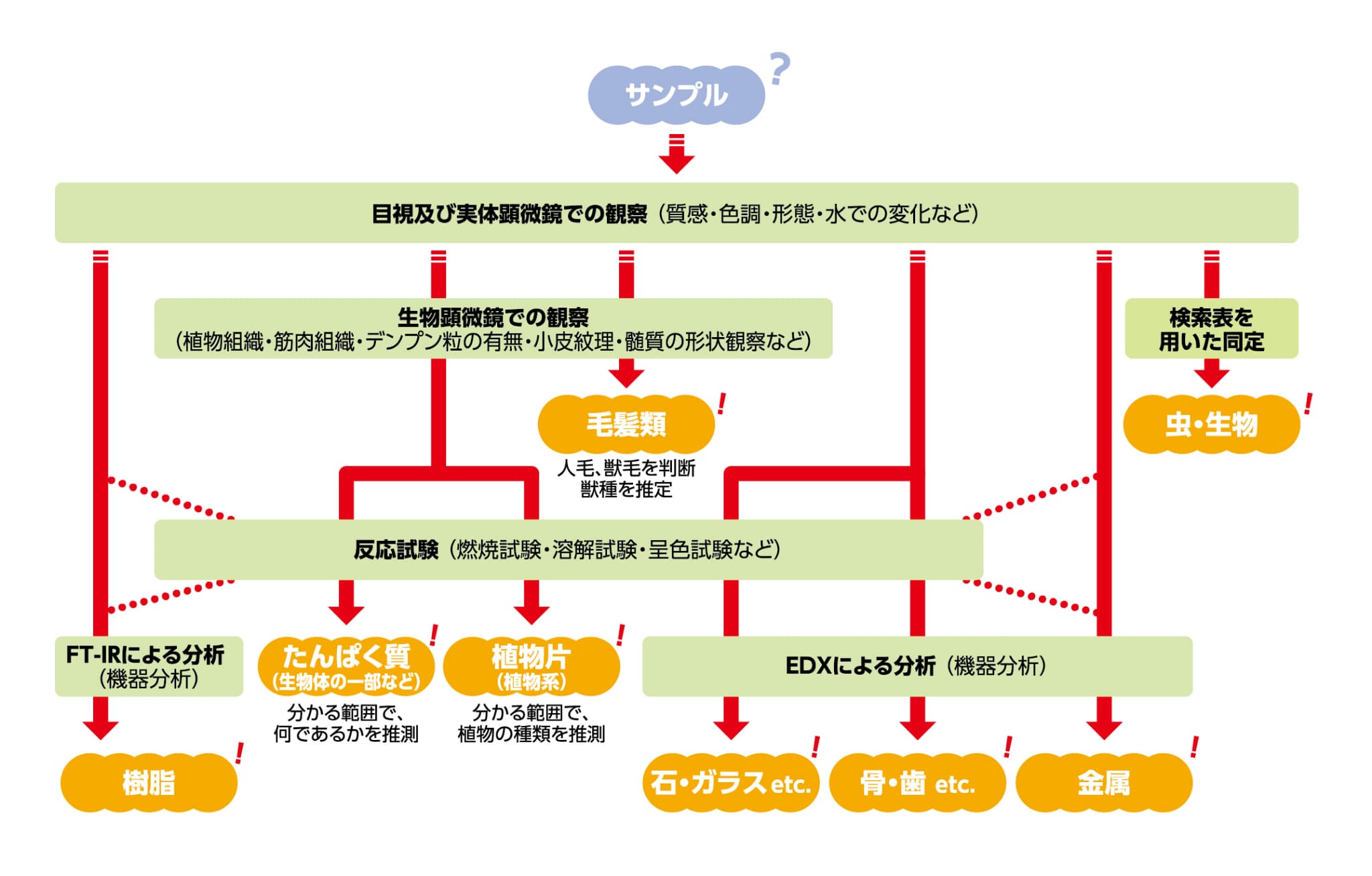 検査フローの画像